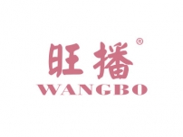 旺播WANGBO