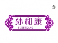 孙和康