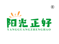 阳光正好