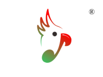 鹦鹉图形