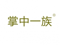 掌中一族
