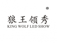 狼王领秀KINGWOLFLEDSHOW