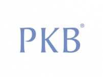 湛江PKB