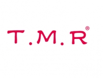 湛江TMR